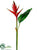 Heliconia Spray - Red - Pack of 8