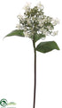 Silk Plants Direct Hydrangea Spray - White - Pack of 6