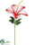 Sheer Hibiscus Flower Spray - Red - Pack of 6