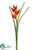Heliconia Spray - Flame - Pack of 6