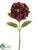 Hydrangea Spray - Burgundy Green - Pack of 6