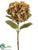 Hydrangea Spray - Green Coffee - Pack of 6