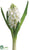 Hyacinth Spray - Cream - Pack of 12