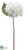 Hydrangea Spray - Cream - Pack of 6