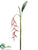 Heliconia Hanging Spray - Pink Green - Pack of 6