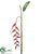 Heliconia Hanging Spray - Red Green - Pack of 6