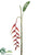 Heliconia Hanging Spray - Red Green - Pack of 6