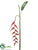 Heliconia Hanging Spray - Red Green - Pack of 6