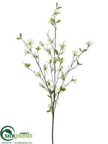 Wild Witch Hazel Spray - Green Cream - Pack of 12