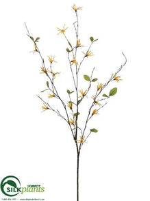 Wild Witch Hazel Spray - Yellow - Pack of 12