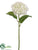 Hydrangea Spray - Cream - Pack of 12