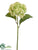 Hydrangea Spray - Green - Pack of 12