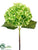 Hydrangea Spray - Green Two Tone - Pack of 12