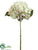 Hydrangea Spray - Lime Cream - Pack of 12