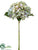 Hydrangea Spray - Lime Orchid - Pack of 12
