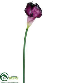 Calla Lily Spray - Eggplant - Pack of 12