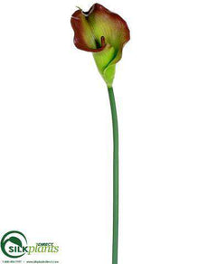 Calla Lily Spray - Green Burgundy - Pack of 12