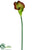 Calla Lily Spray - Green Burgundy - Pack of 12