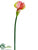 Calla Lily Spray - Rose Green - Pack of 12