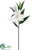 Silk Plants Direct Casablanca Lily Spray - White - Pack of 6