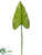 Baby Calla Lily Leaf Spray - Green - Pack of 12