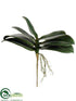 Silk Plants Direct Phalaenopsis Leaf Plant - Green - Pack of 12