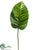 Broad Leaf Spray - Green - Pack of 12