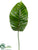 Broad Leaf Spray - Green - Pack of 12