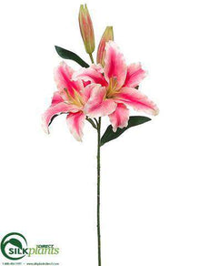 Casablanca Lily Spray - Cerise Pink - Pack of 12