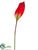 Peace Lily Spray - Red Green - Pack of 12