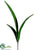 Amaryllis Leaf Spray - Green - Pack of 12