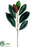 Silk Plants Direct Magnolia Leaf Spray - Green - Pack of 12