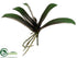 Silk Plants Direct Phalaenopsis Orchid Leaf Plant - Green Burgundy - Pack of 12
