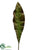 Bird Nest Fern Spray - Green Burgundy - Pack of 12