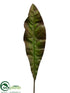Silk Plants Direct Bird Nest Fern Spray - Green Burgundy - Pack of 12
