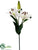 Casablanca Lily Spray - White - Pack of 12