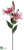Rubrum Lily Spray - Pink - Pack of 12