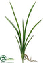 Silk Plants Direct Cymbidium Leaf Plant - Green - Pack of 12