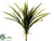 Cymbidium Orchid Leaf Plant - Green - Pack of 12