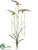 Giant Lady's Slipper Orchid Plant - Green Burgundy - Pack of 6