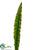 Gymea Sword Leaf Spray - Green Burgundy - Pack of 12