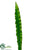 Gymea Sword Leaf Spray - Green - Pack of 12