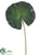 Water Lily Leaf Spray - Green - Pack of 12