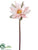 Water Lily Spray - Ivory Pink - Pack of 8
