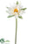 Water Lily Spray - Ivory - Pack of 8