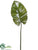 Large Anthurium Leaf Spray - Green - Pack of 12