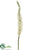 Foxtail Lily Spray - Cream - Pack of 12