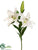 Casablanca Lily Spray - White - Pack of 6