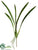 Cymbidium Orchid Leaf Plant - Green - Pack of 6