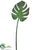 Monstera Leaf Spray - Green Brown - Pack of 12
